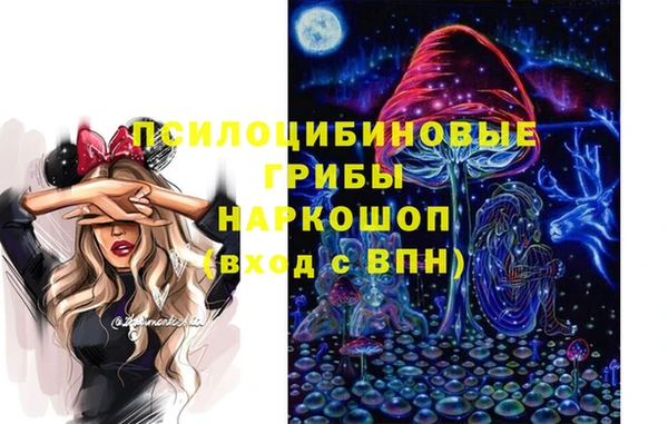 apvp Липки