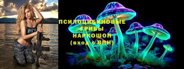 твердый Лиски
