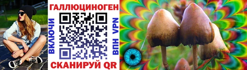 Купить закладки  Челябинск  Псилоцибиновые грибы мицелий 